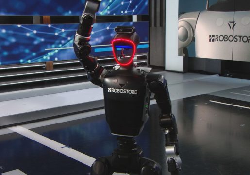 108246865-1767126117562-robo32.jpg