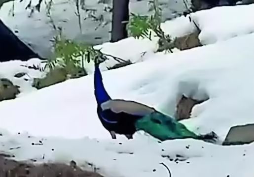 1770208379_photo.jpg