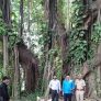 1780890645_photo.jpg