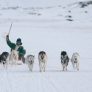 24xp-dogsled1-bwcj-facebookJumbo.jpg