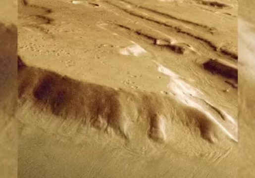 photo.jpg